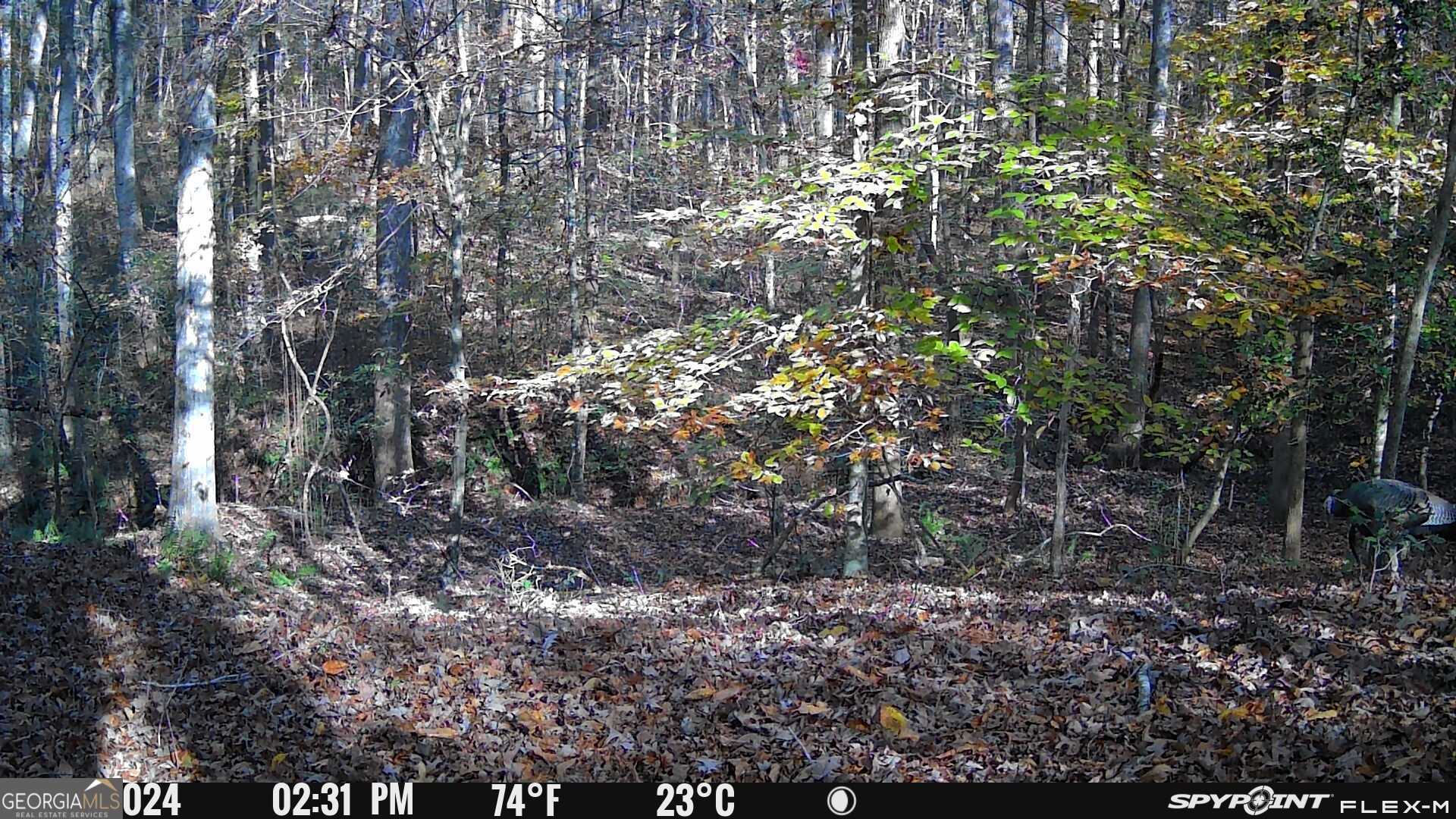 1590 James Adams Road Danielsville, GA 30633 - Photo 24 of 98