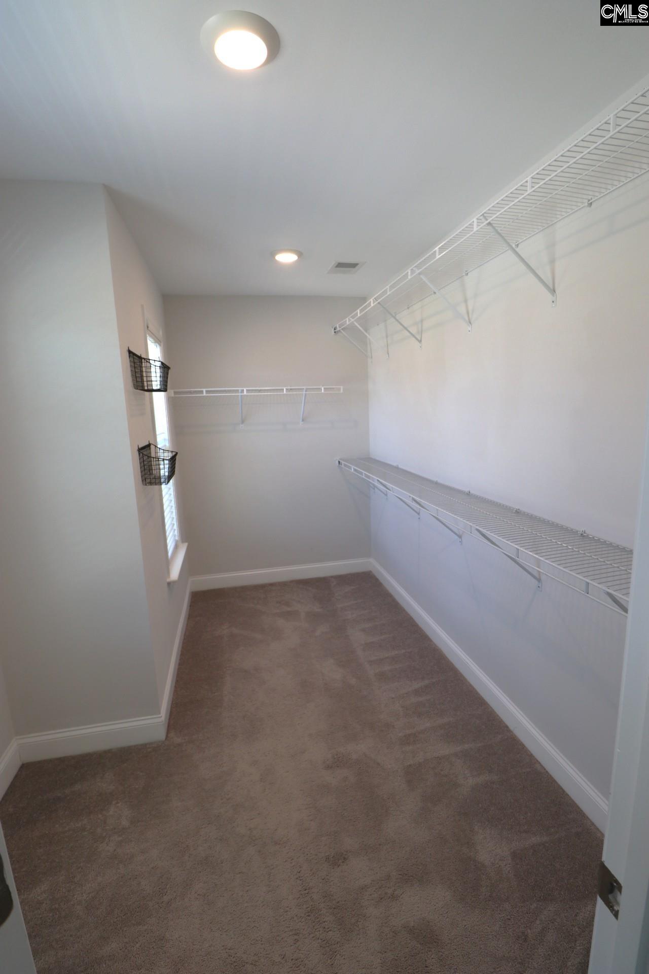432 Thayer Street Chapin, SC 29036 - Photo 38 of 68