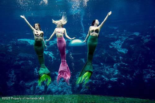4914 Sutherland St Spring Hill, Unit LOT 67 Spring Hill, FL 34609 - Photo 8 of 8 SH Weeki Wachee mermaids