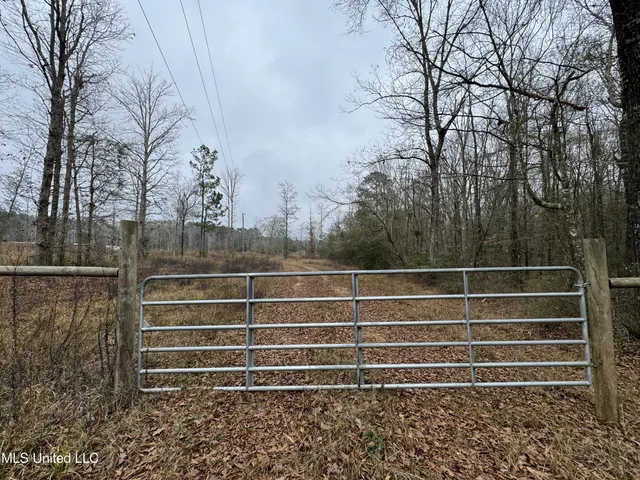$77,000 | Cold Springs Road, Collins, MS 39428