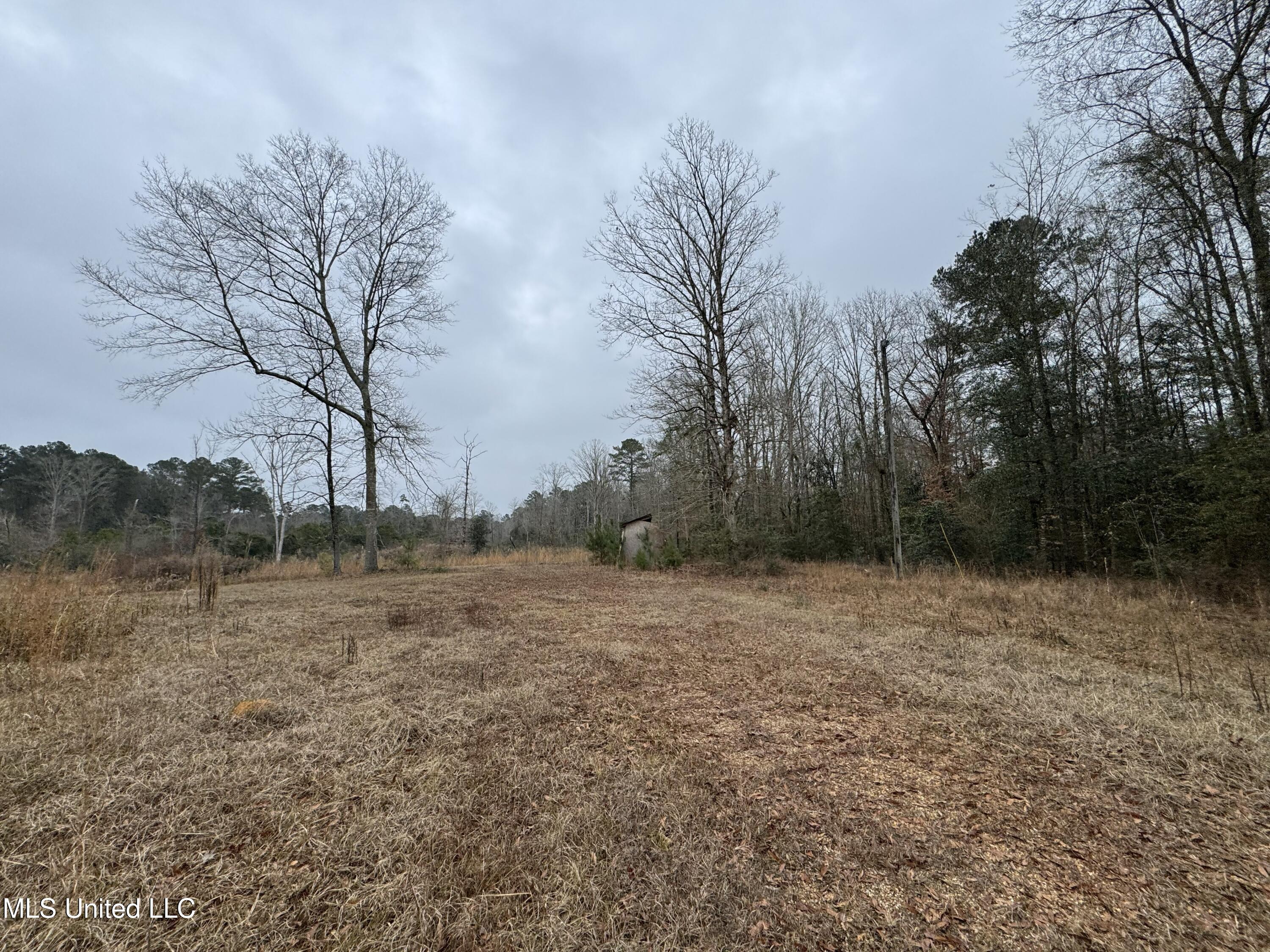 Cold Springs Road Collins, MS 39428 - Photo 11 of 14 IMG_7792