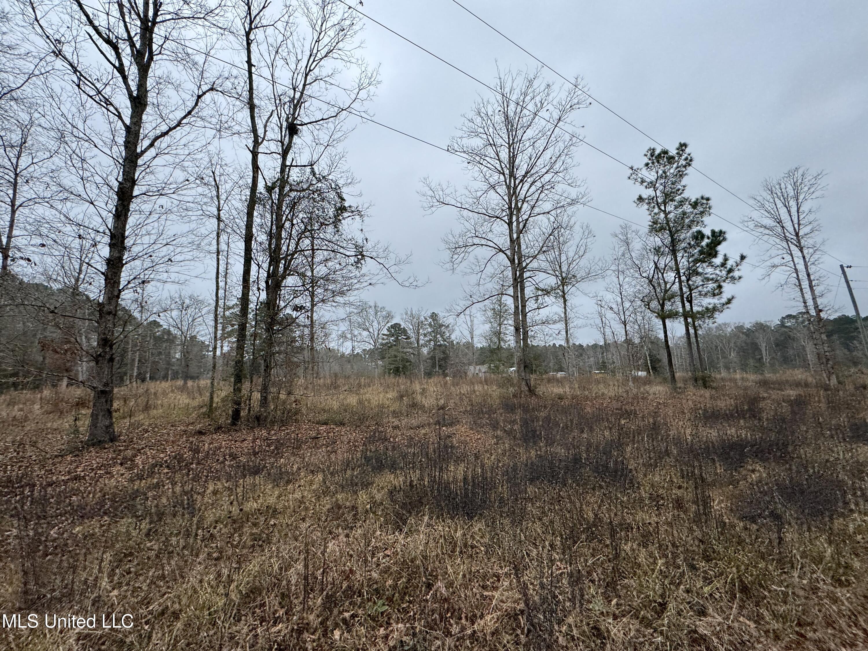 Cold Springs Road Collins, MS 39428 - Photo 12 of 14 IMG_7786