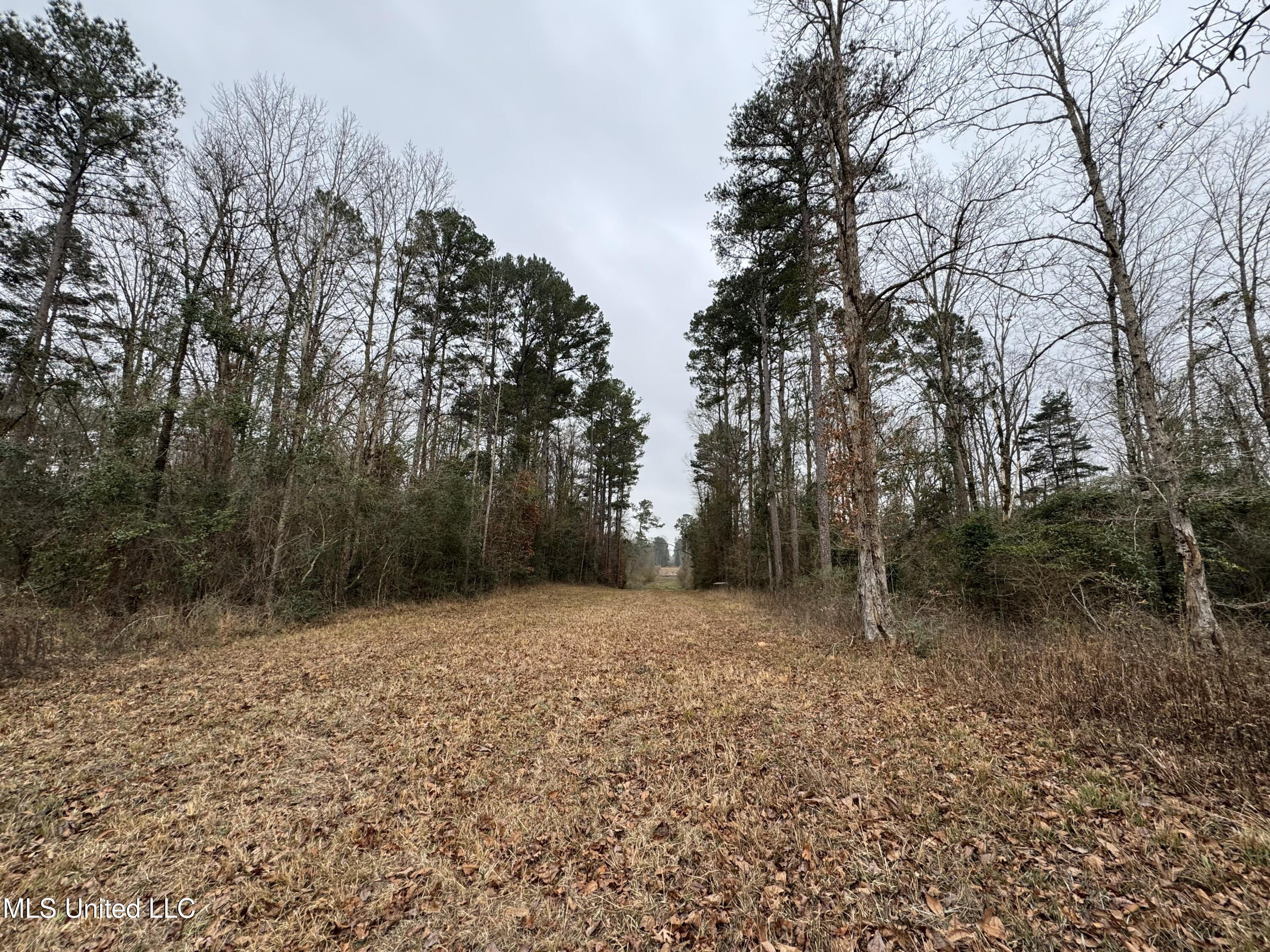 Cold Springs Road Collins, MS 39428 - Photo 13 of 14 IMG_7814