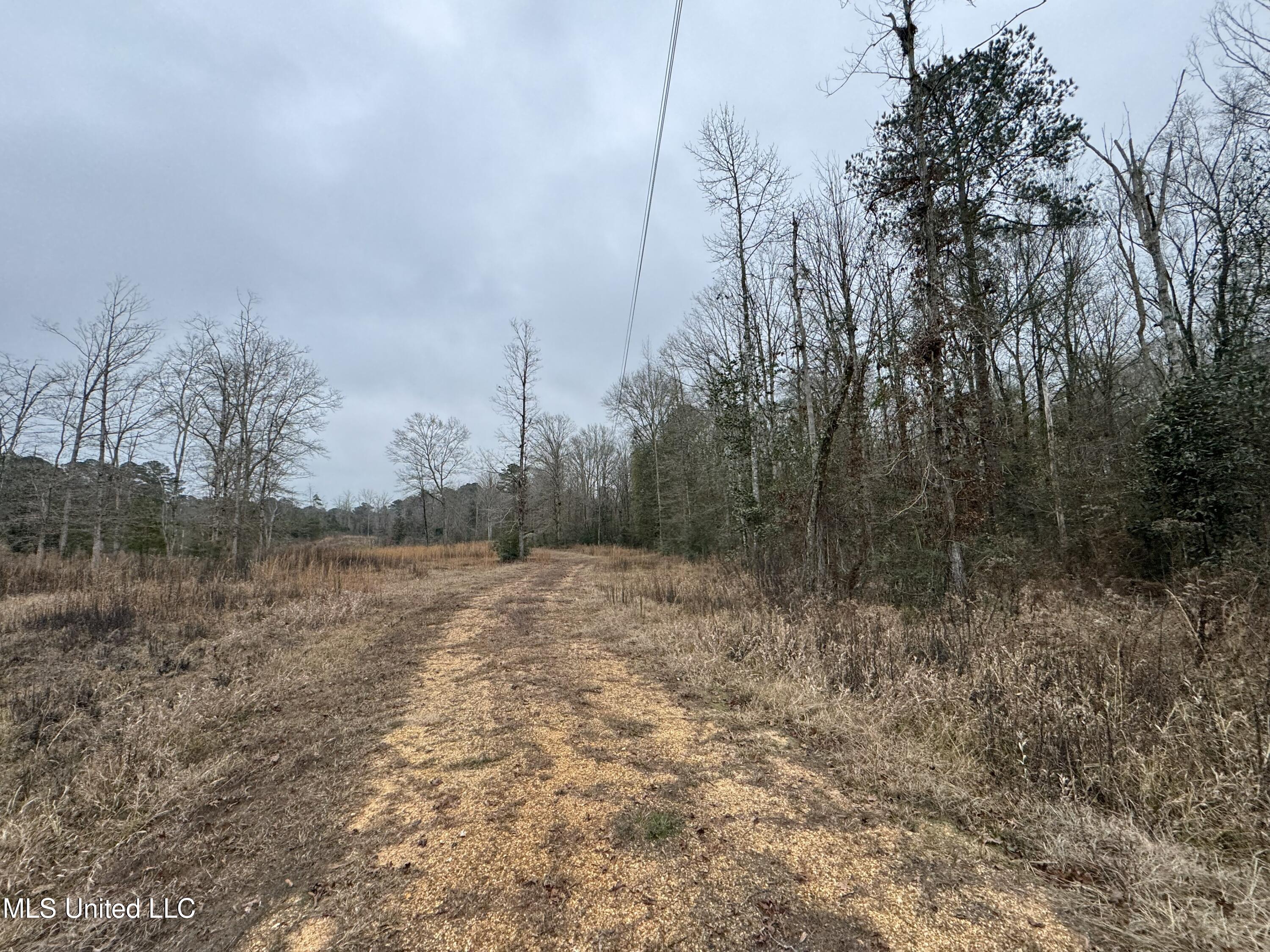 Cold Springs Road Collins, MS 39428 - Photo 14 of 14 IMG_7789