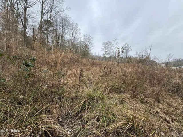 $77,000 | Cold Springs Road, Collins, MS 39428