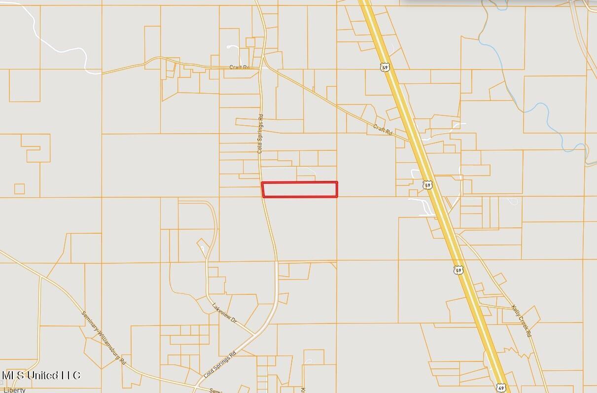 Cold Springs Road Collins, MS 39428 - Photo 4 of 14 Screenshot 2026-01-19 102547