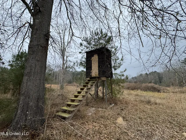 $77,000 | Cold Springs Road, Collins, MS 39428