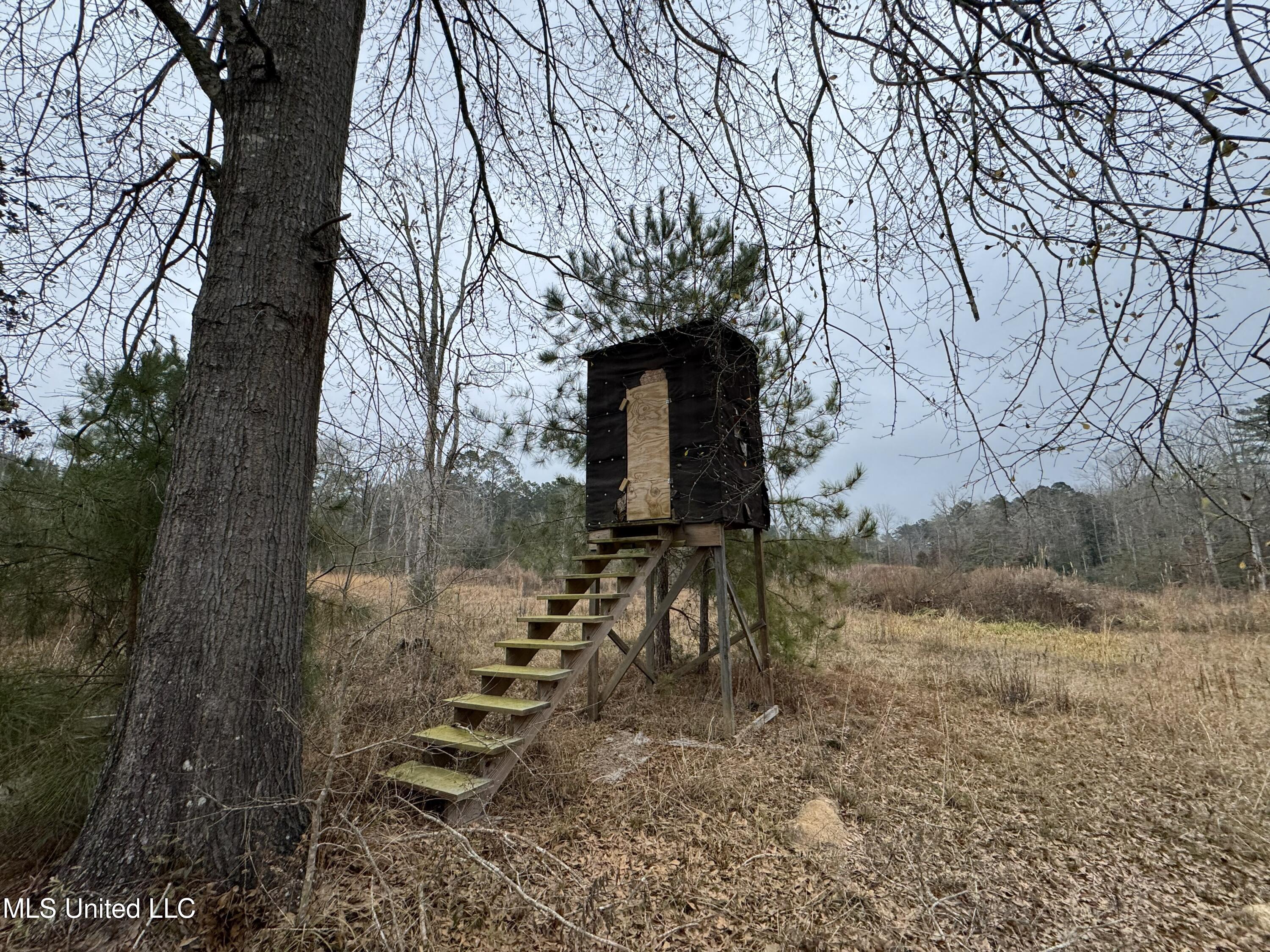 Cold Springs Road Collins, MS 39428 - Photo 5 of 14 IMG_7794