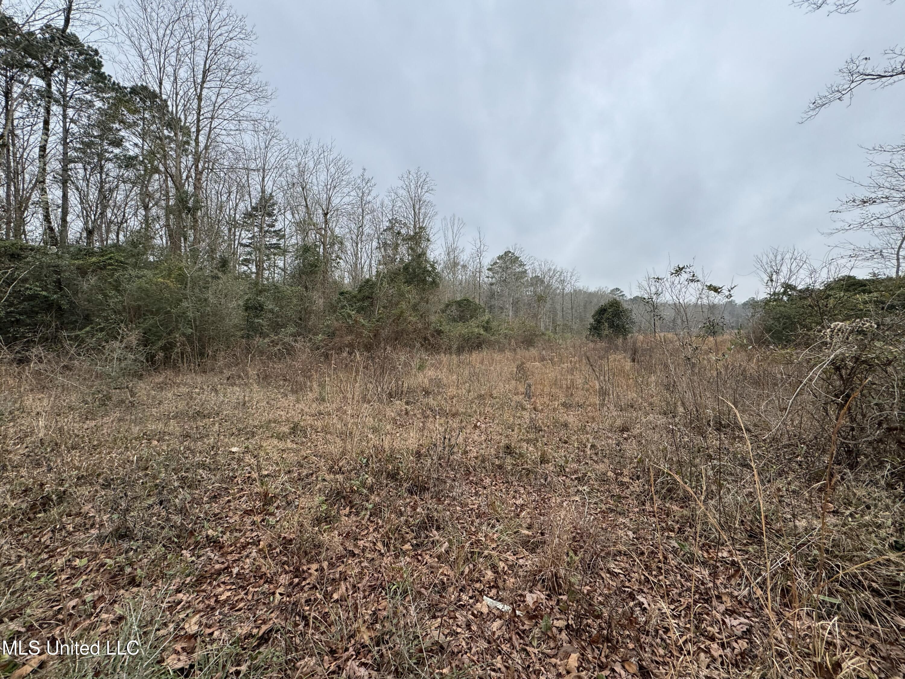 Cold Springs Road Collins, MS 39428 - Photo 6 of 14 IMG_7812