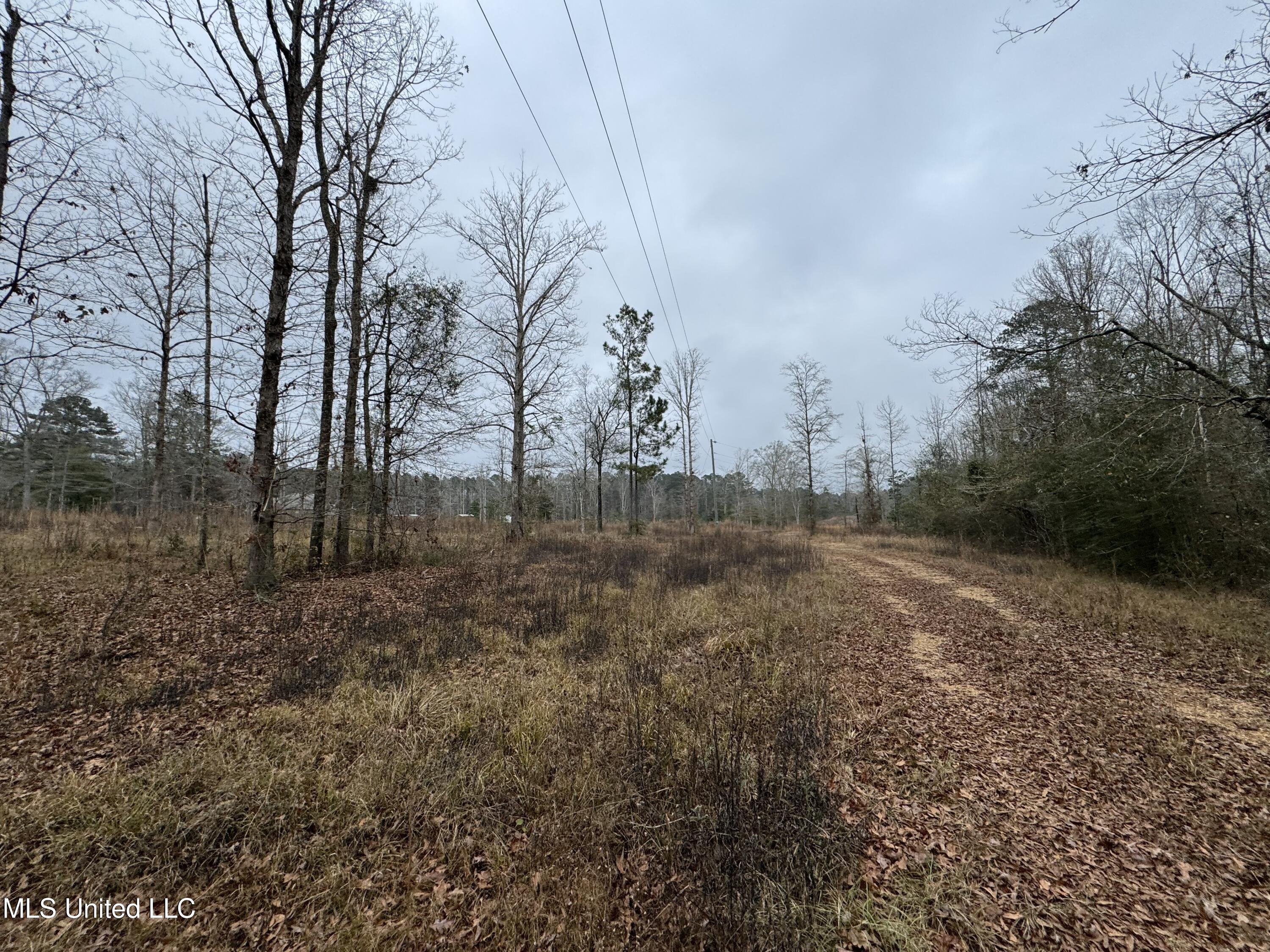 Cold Springs Road Collins, MS 39428 - Photo 8 of 14 IMG_7784