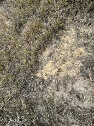 $77,000 | Cold Springs Road, Collins, MS 39428