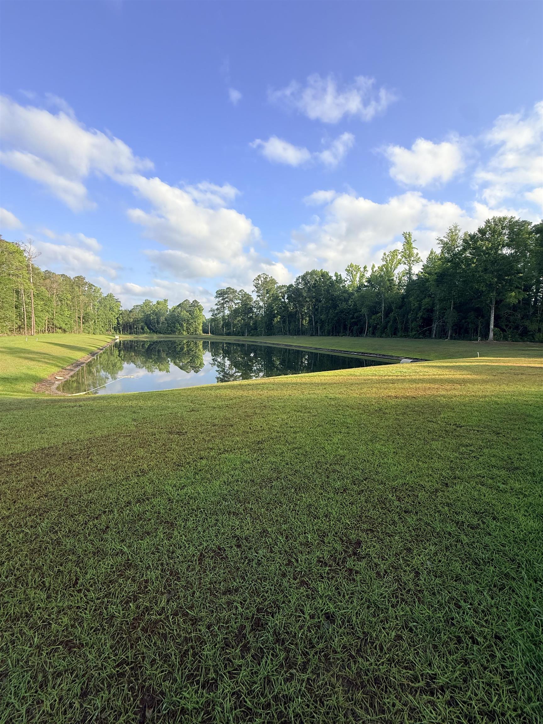445 Falling Leaf Loop Myrtle Beach, SC 29588 - Photo 17 of 19