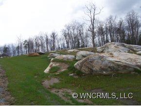 Lot 2 Stone's Lake Road, Unit 2A Cedar Mountain, NC 28718 - Photo 2 of 2