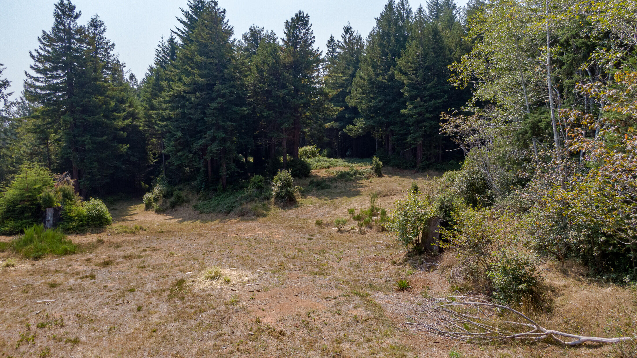 1180 Fox Farm Road Trinidad, CA 95570 - Photo 12 of 36