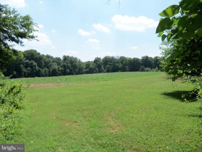 21305 Heathcote Road Freeland, MD 21053 - Photo 3 of 7 Wooded View / Acreage