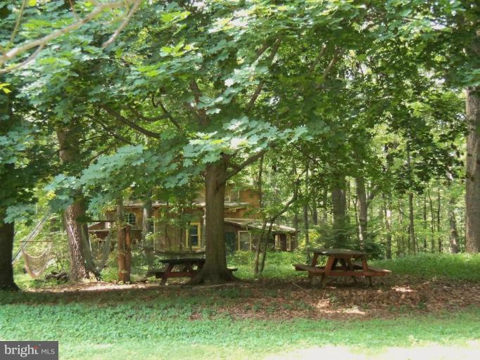 21305 Heathcote Road Freeland, MD 21053 - Photo 7 of 7 House surrounded by trees