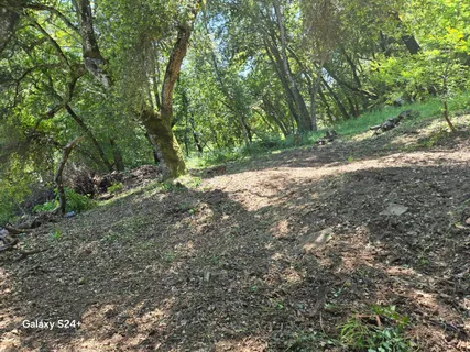 a view of backyard with green space