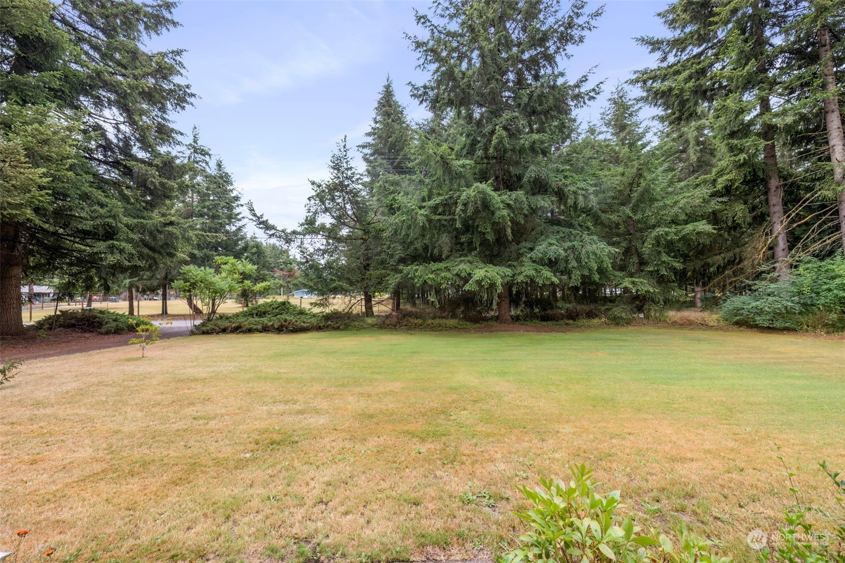 7344 191st Avenue Southwest Rochester, WA 98579 - Photo 3 of 39 a view of outdoor space and yard