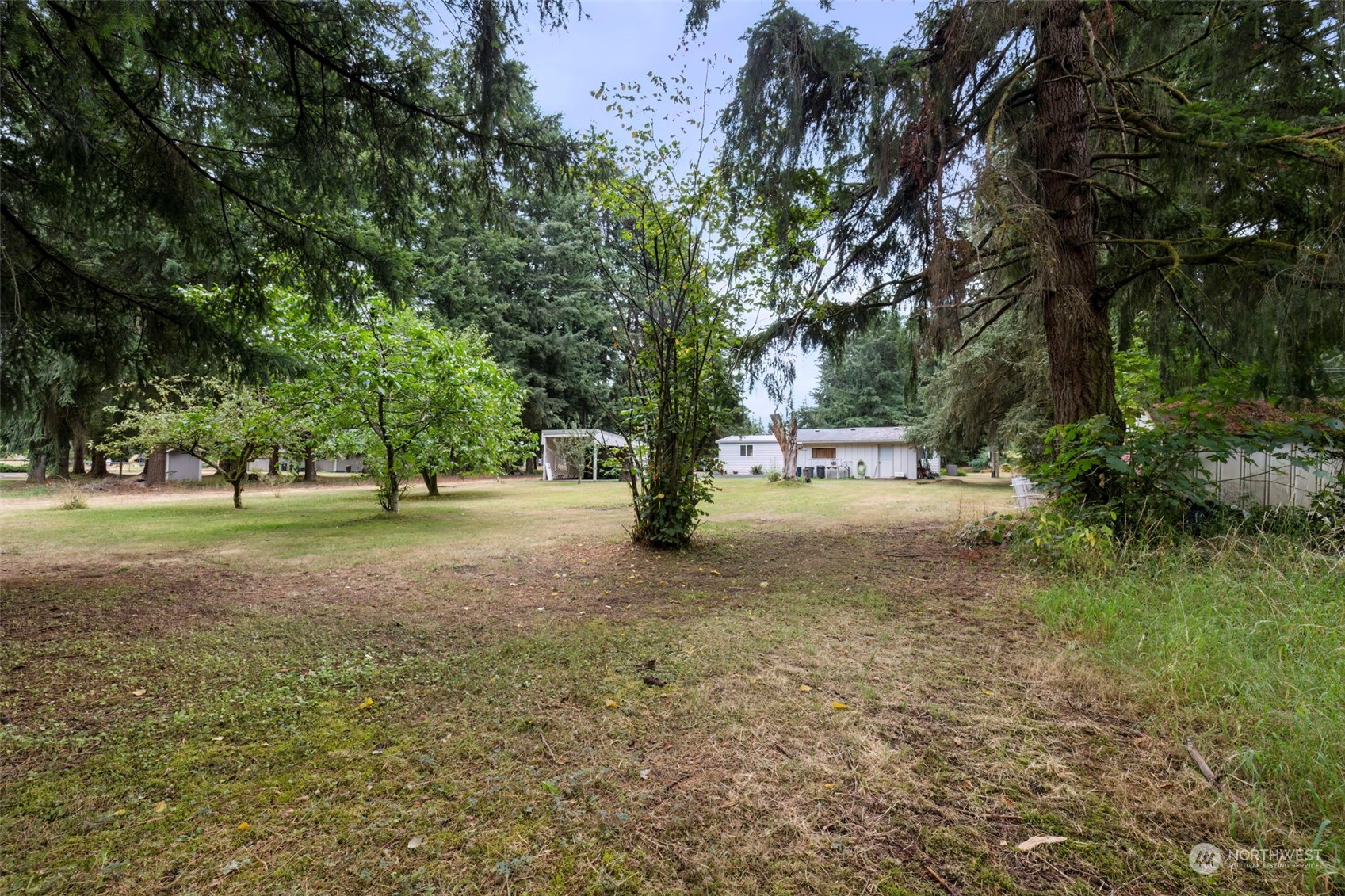 7344 191st Avenue Southwest Rochester, WA 98579 - Photo 36 of 39 a view of park with trees