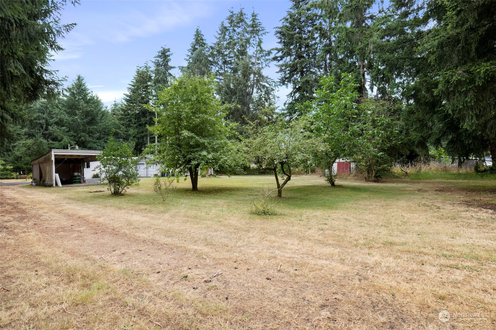7344 191st Avenue Southwest Rochester, WA 98579 - Photo 37 of 39 a view of a yard with a tree
