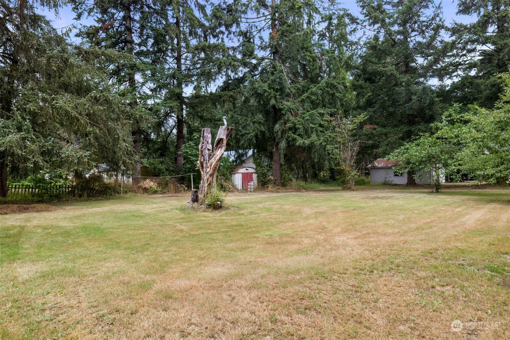 7344 191st Avenue Southwest Rochester, WA 98579 - Photo 38 of 39 a view of a yard with a tree