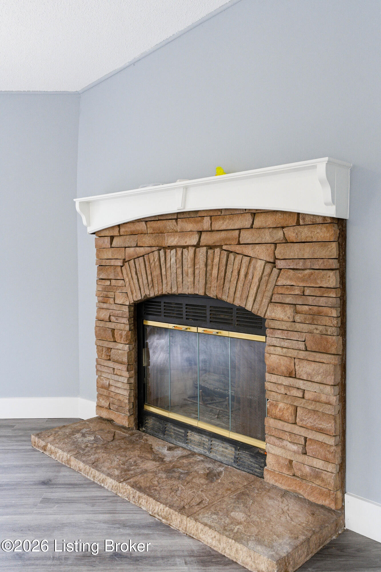 100 Goodlett Road Mount Eden, KY 40046 - Photo 13 of 29 Wood burning fireplace