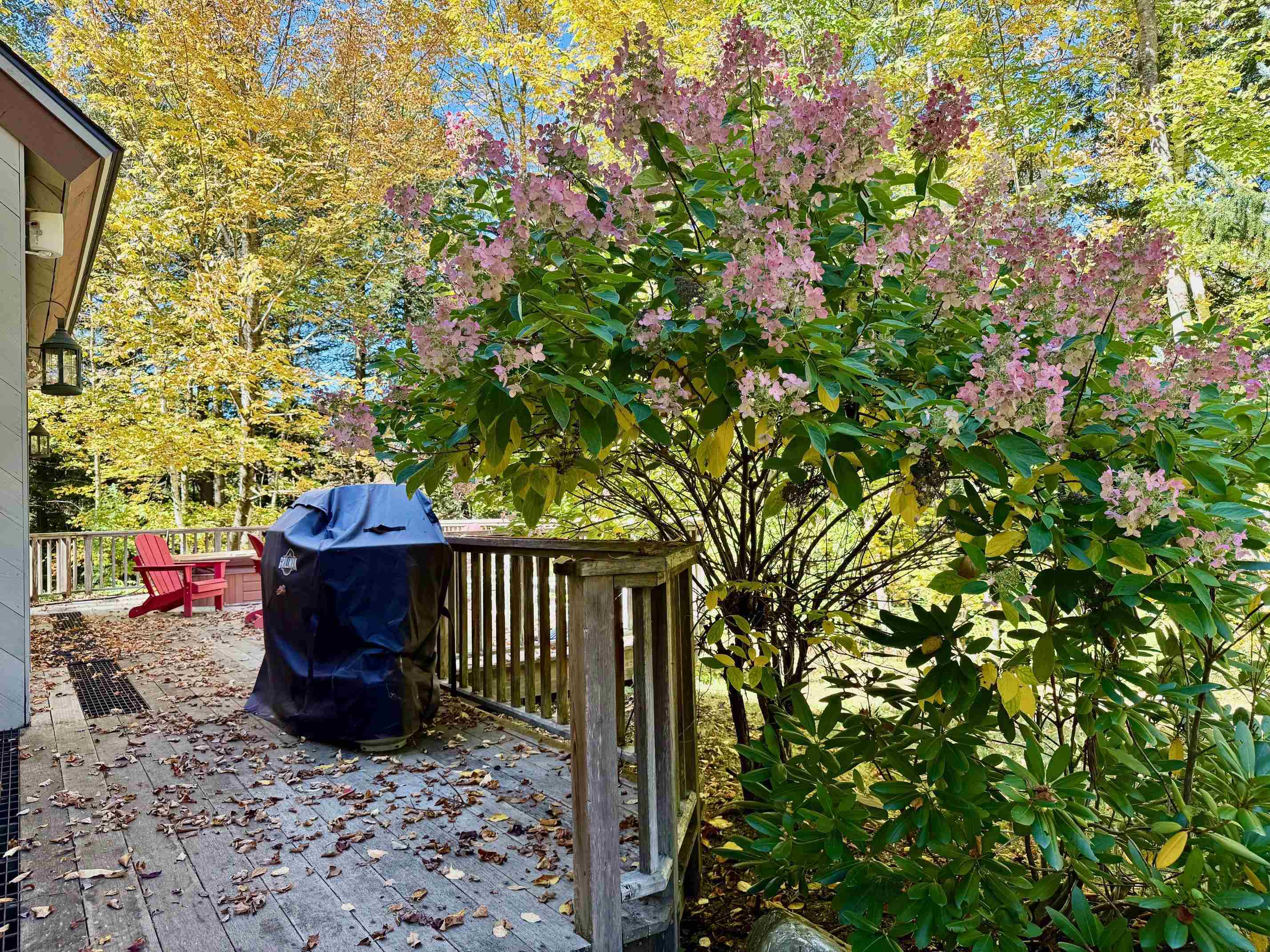 6 Chad Circle Winhall, VT 05340 - Photo 43 of 43