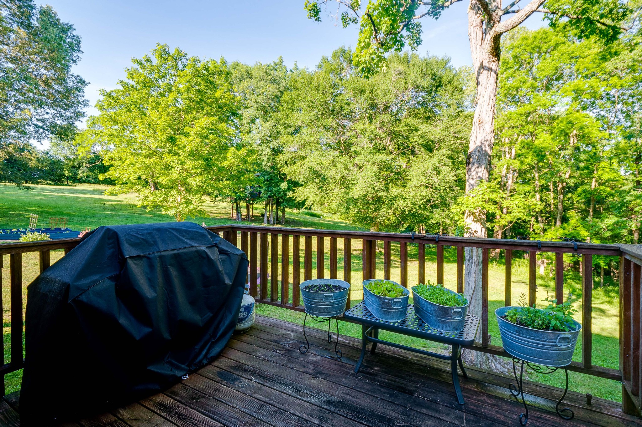 6450 Morton Road Greenbrier, TN 37073 - Photo 25 of 37
