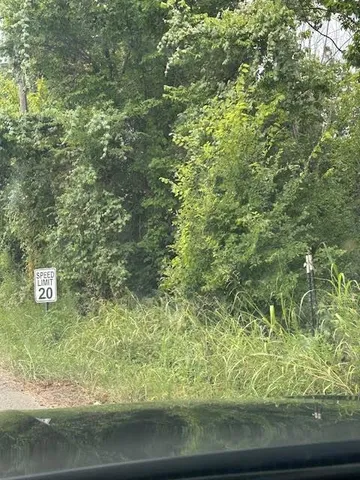 a view of a yard from a window