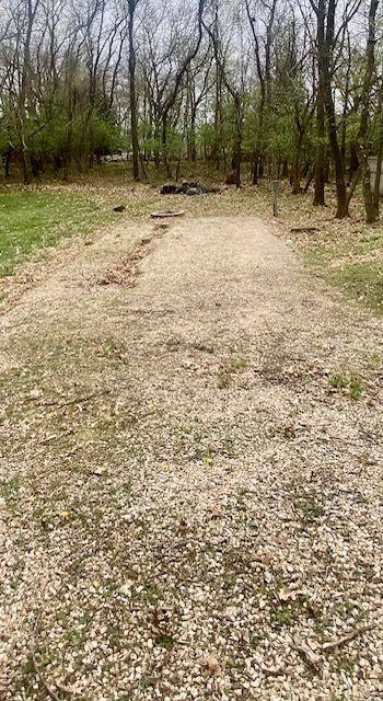 a view of outdoor space with trees