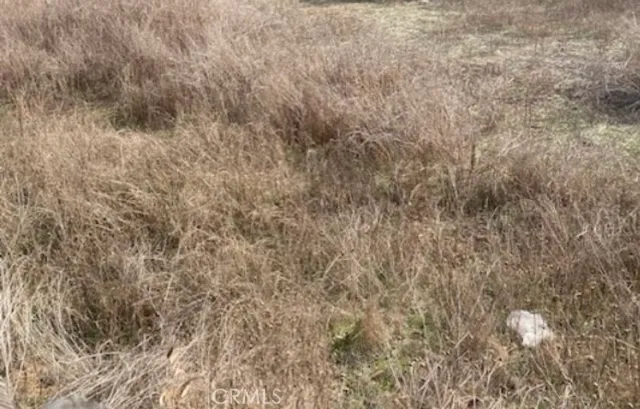 a close up of a wall