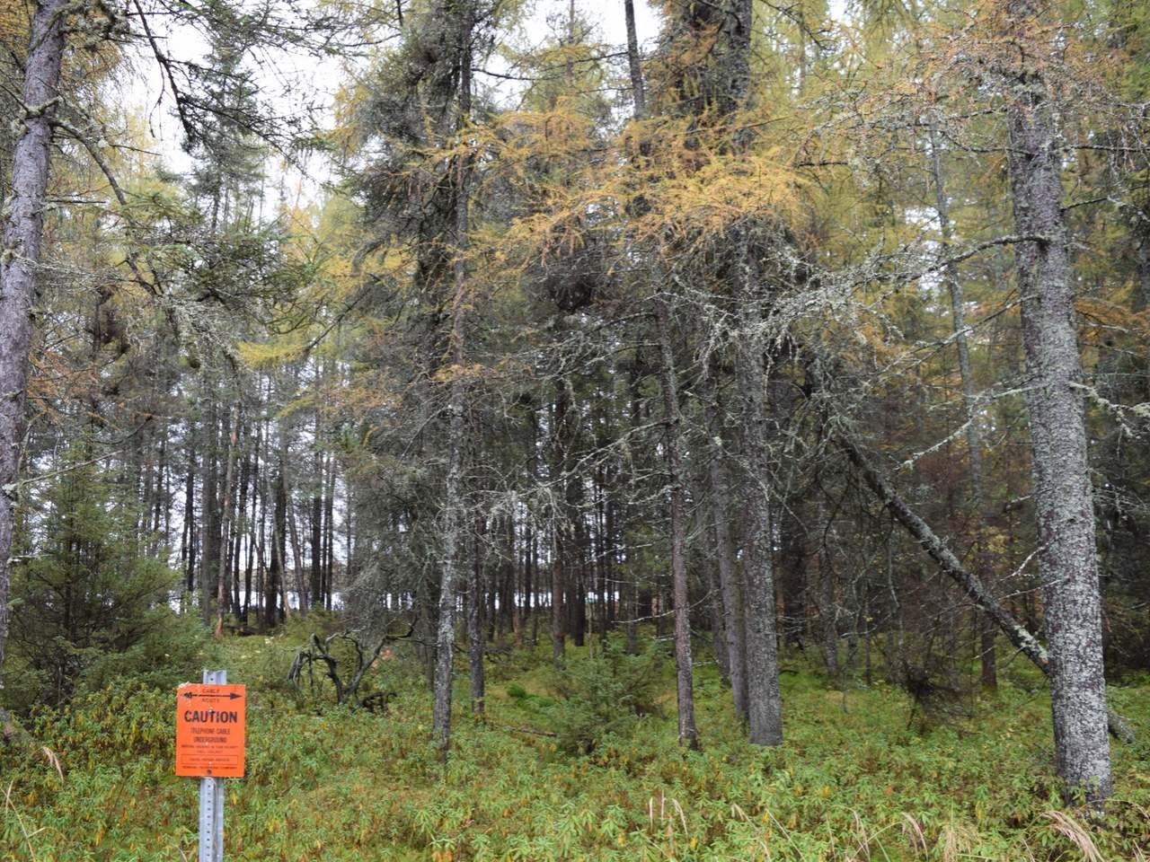 On On Lake Road Tomahawk, WI 54487 - Photo 8 of 23 Gallery Image 8