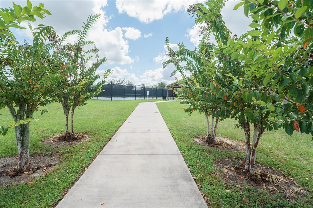 6250 Southwest 89th Ln Road Ocala, FL 34476 - Photo 56 of 71