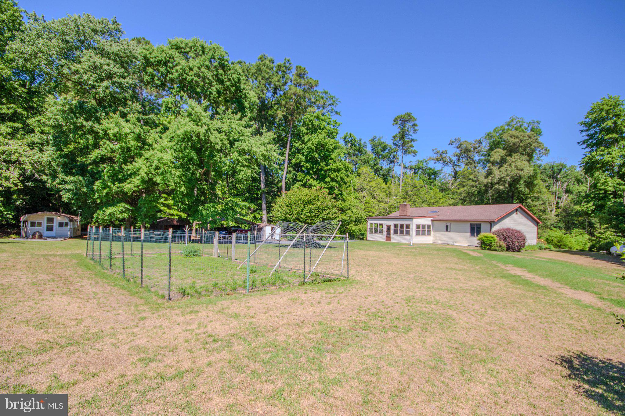 31749 Morris Leonard Road Parsonsburg, MD 21849 - Photo 31 of 40 Serene country retreat with lush greenery.