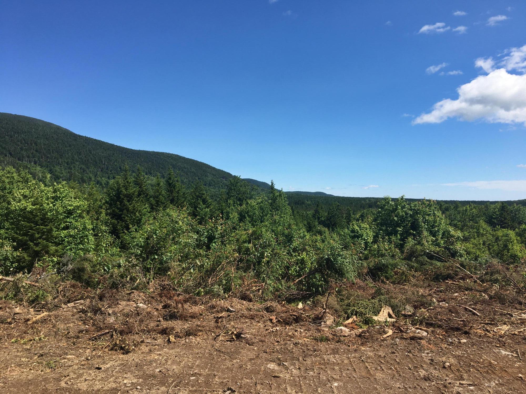 Lot 6 Dirigo Road Jackman, ME 04945 - Photo 13 of 13 D1DB580E-7849-450D-A422-05EA1A902FEC