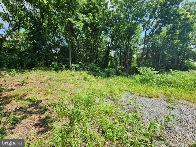 a fire hydrant in the middle of a field
