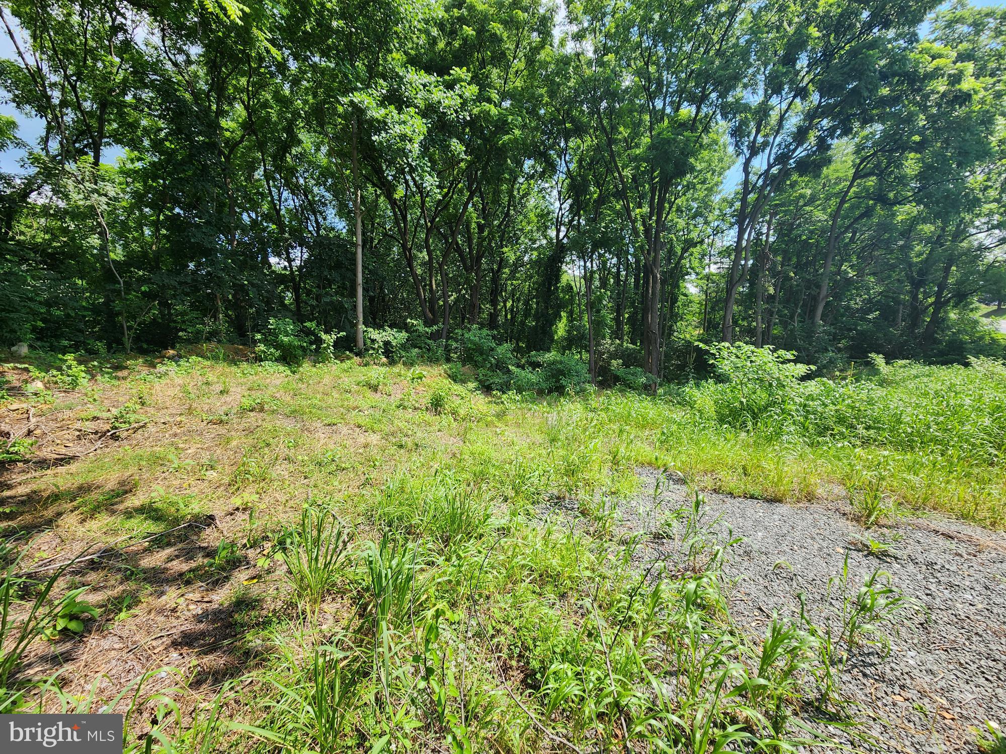 0 Brownsville Road Sinking Spring, PA 19608 - Photo 3 of 5 a fire hydrant in the middle of a field