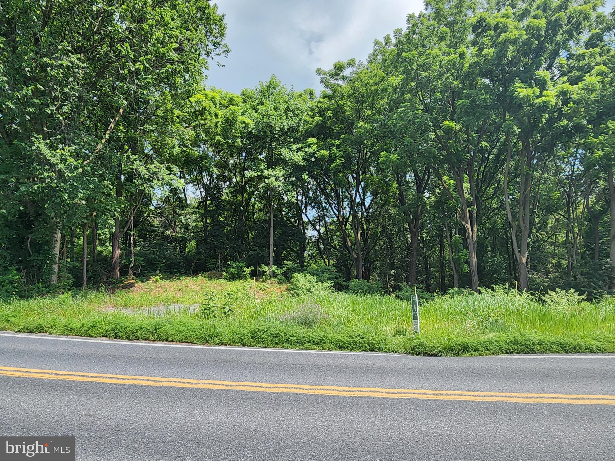 0 Brownsville Road Sinking Spring, PA 19608 - Photo 4 of 5 a backyard of a house with lots of green space