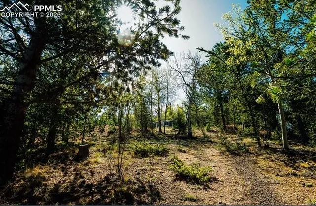 a view of backyard with green space