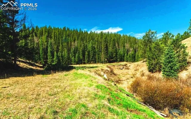 a view of swimming pool from a yard