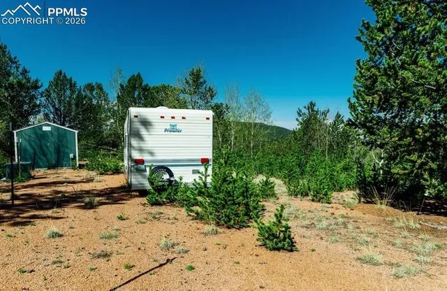 a view of a yard with plants and trees