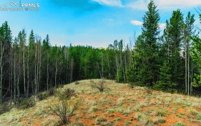 a view of backyard with green space