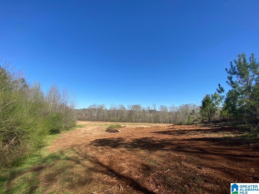 0 State Line Road Graham, AL 36263 - Photo 8 of 8