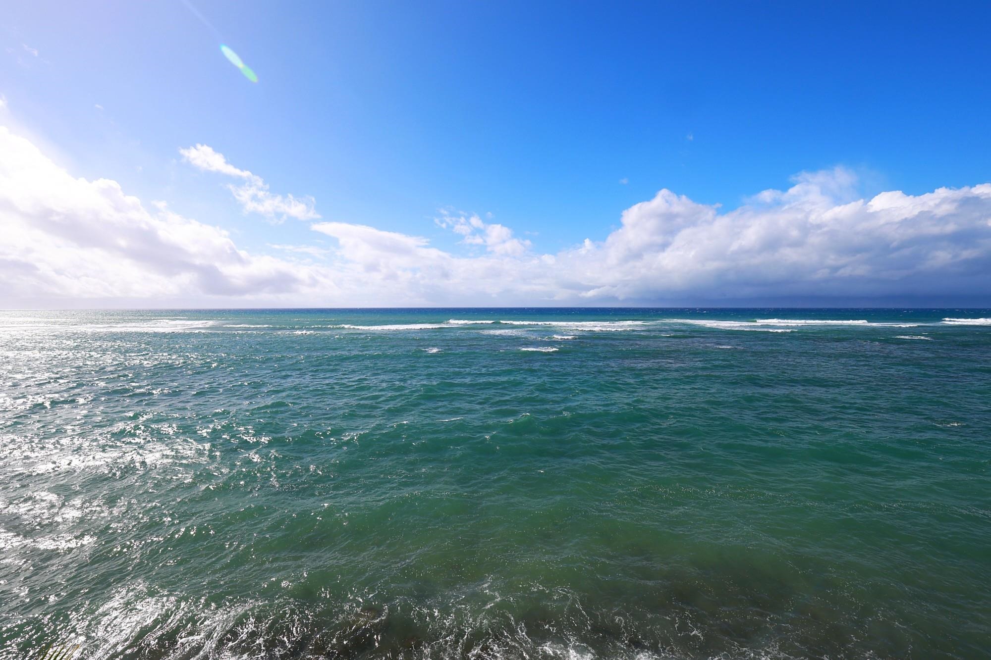 4435 Lower Honoapiilani Road, Unit 303 Lahaina, HI 96761 - Photo 41 of 41 Gallery Image 41