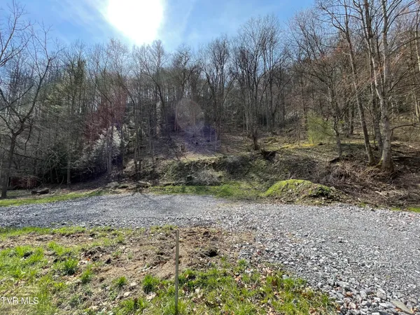 $20,000 | Tbd Saw Mill Hollow Road, Unit 302, St. Paul, VA 24283