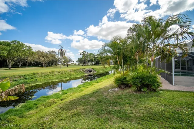 a view of a park with large trees