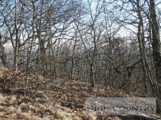 Little Tree Road West Jefferson, NC 28694 - Photo 1 of 1 Gallery Image 1