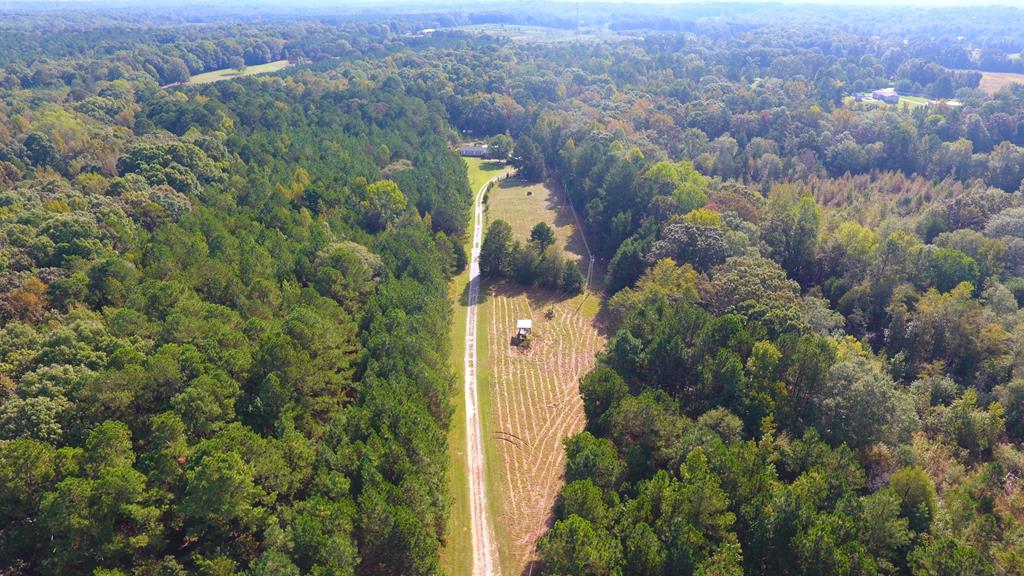 186 Freeley Road Donalds, SC 29638 - Photo 8 of 58