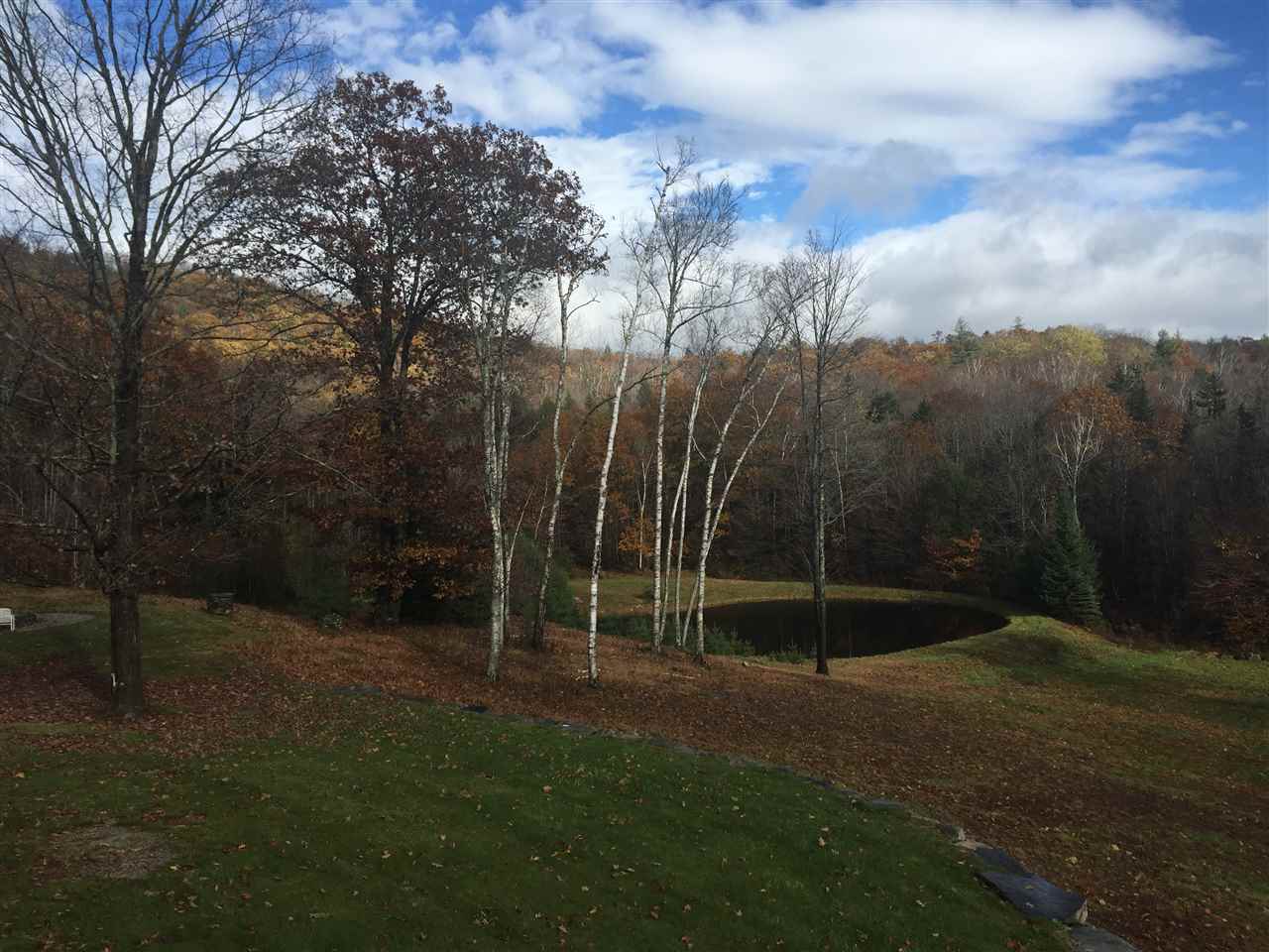 1713 Cabell Road Grafton, VT 05146 - Photo 35 of 40