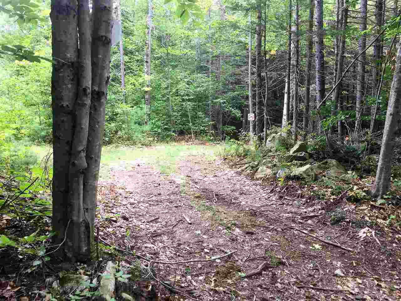 1713 Cabell Road Grafton, VT 05146 - Photo 40 of 40